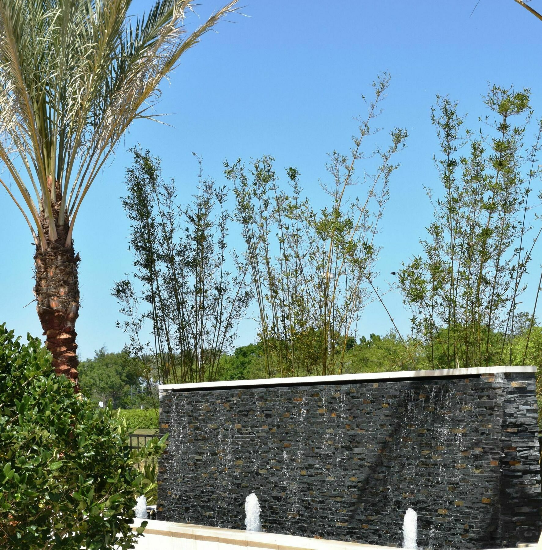 Springhill Suites By Marriott Orlando At Millenia Esterno foto