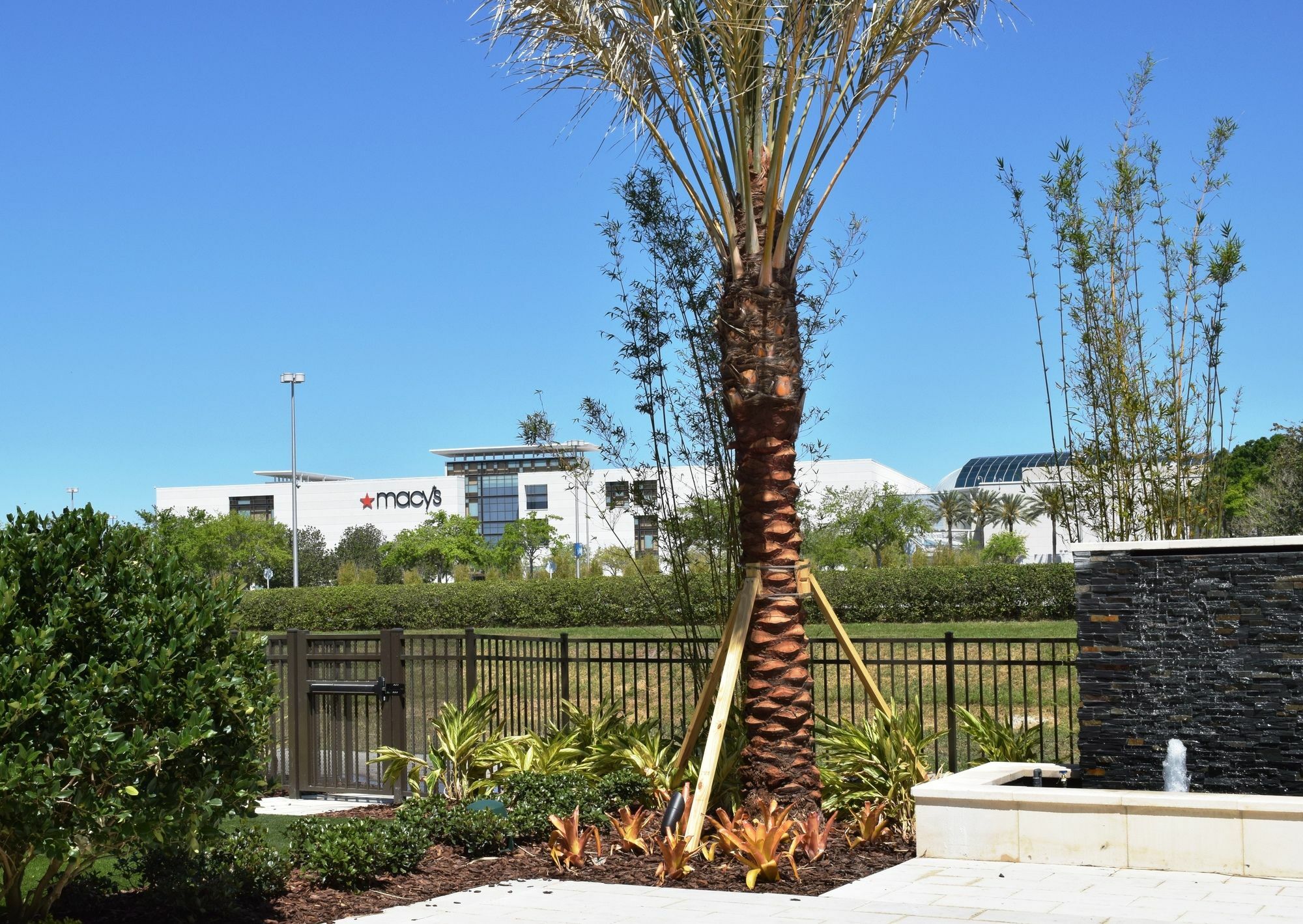 Springhill Suites By Marriott Orlando At Millenia Esterno foto